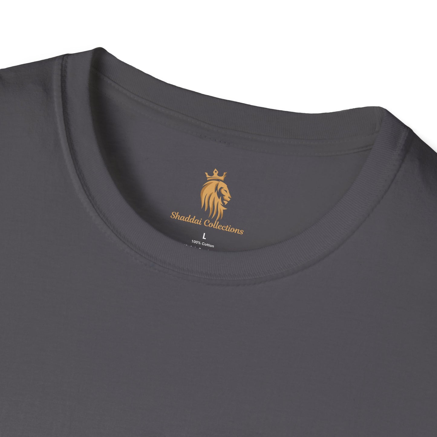 Playera Blessed